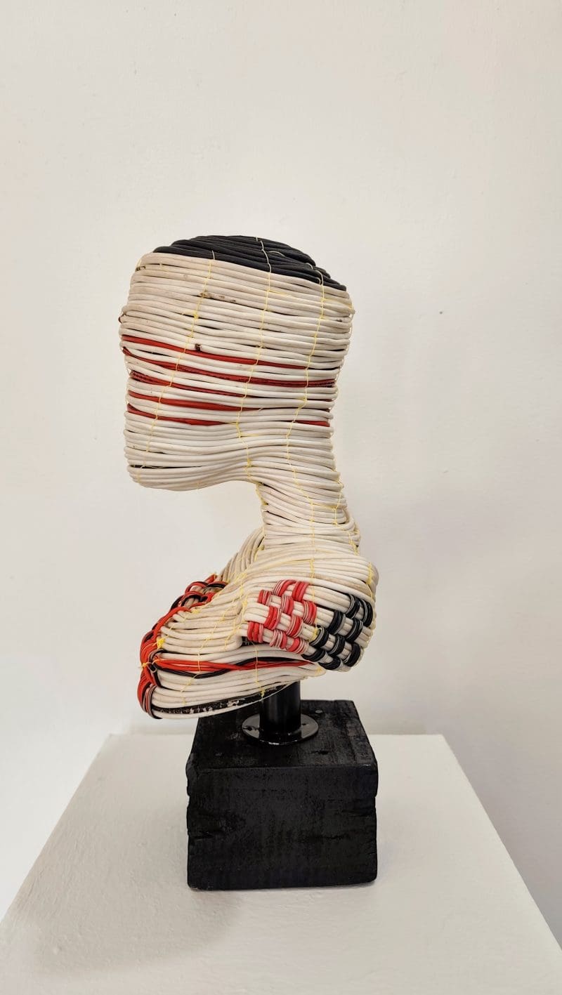 Kelvin Dube - KD2537 - Image 4