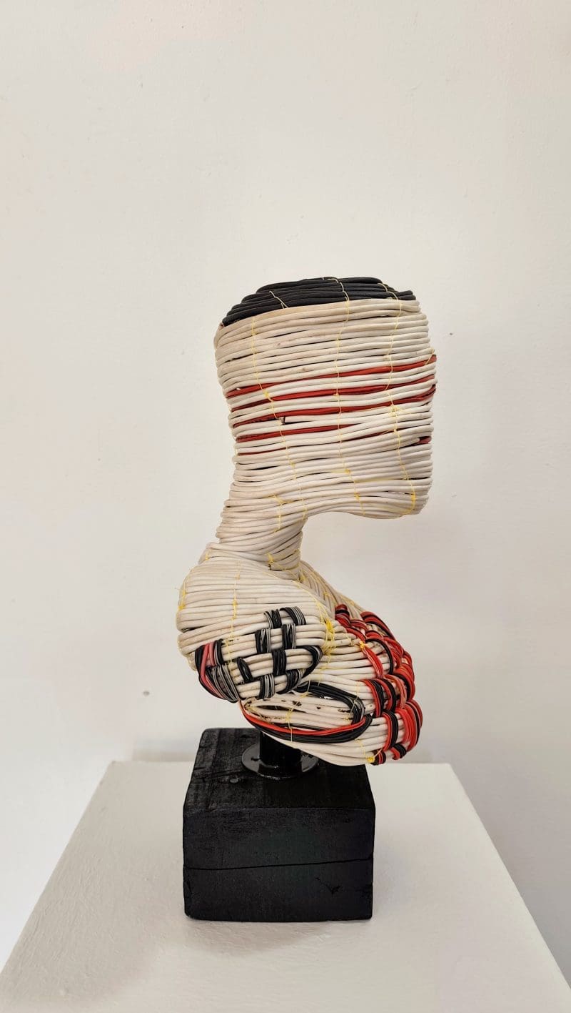 Kelvin Dube - KD2537 - Image 2