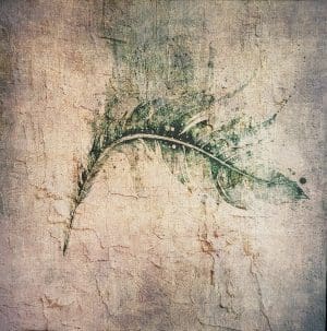 Nikkinx - Nikkinx2513